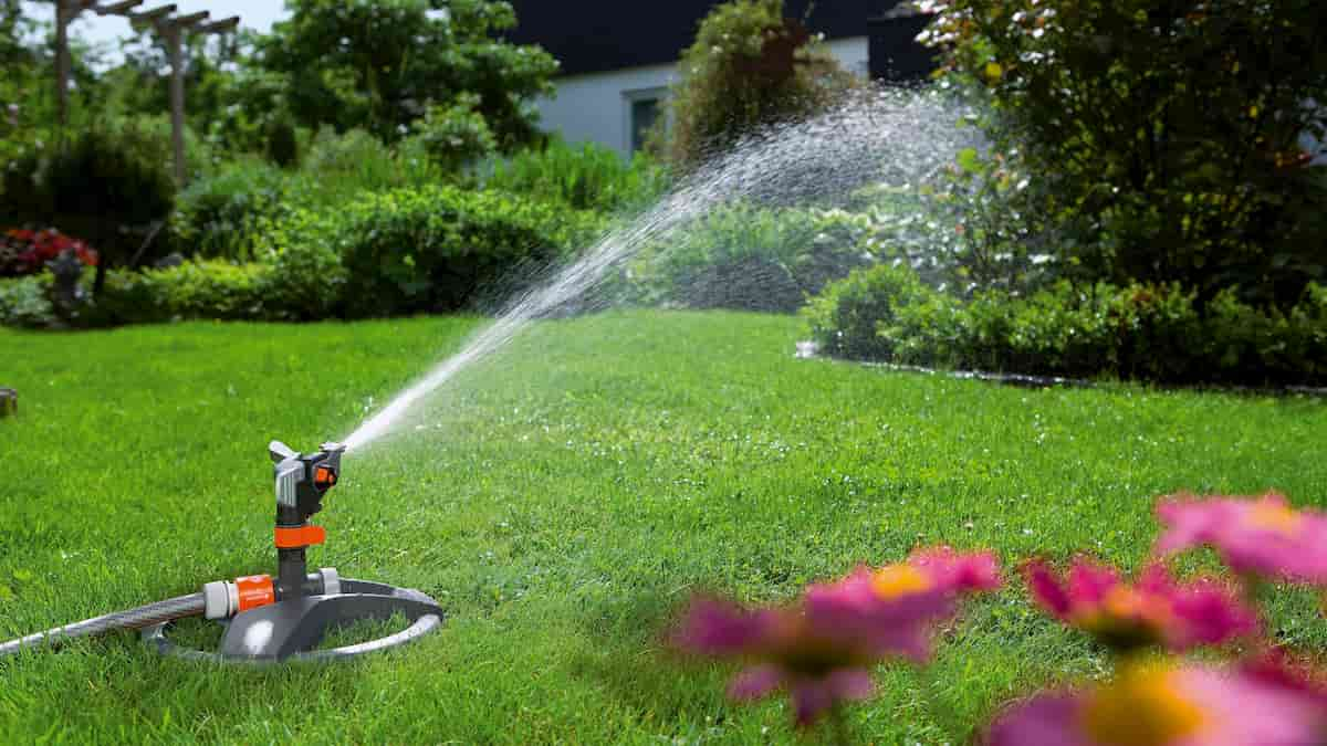 tipos de agua para regar