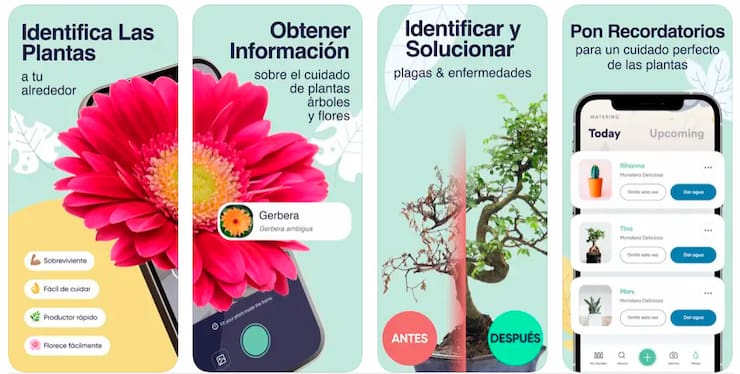 planty app para identificar que le pasa a mi planta