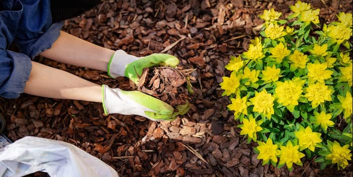 proteger el suelo del jardin