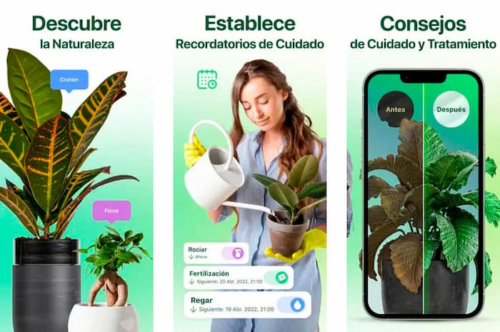 app para identificar plantas español