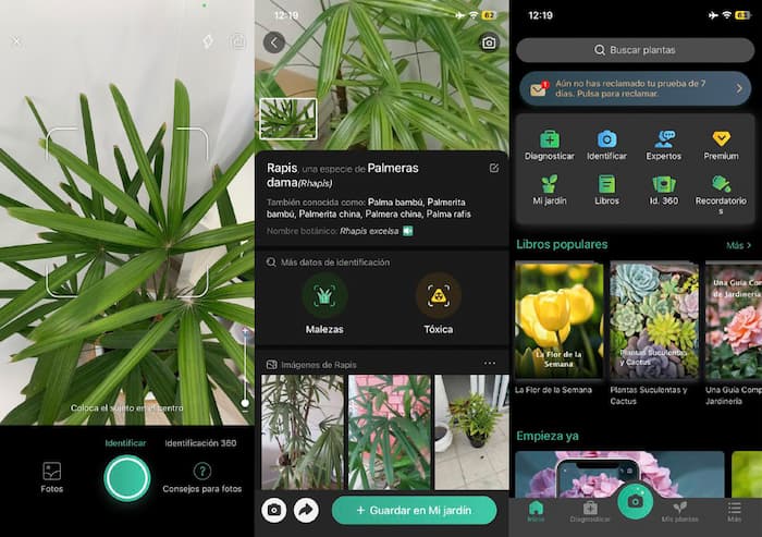 app para identificar y cuidar plantas gratis