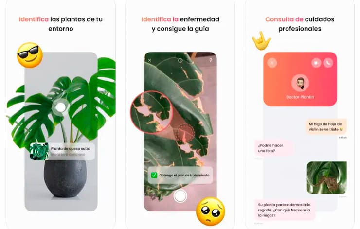 aplicacion para identificar plantas de interior android