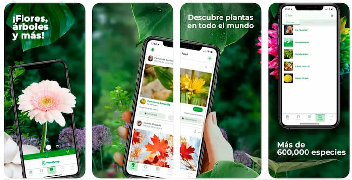 app para identificar enfermedades en plantas