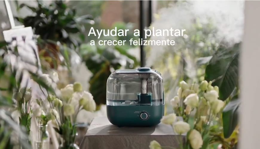 Humidificador bear con plantas