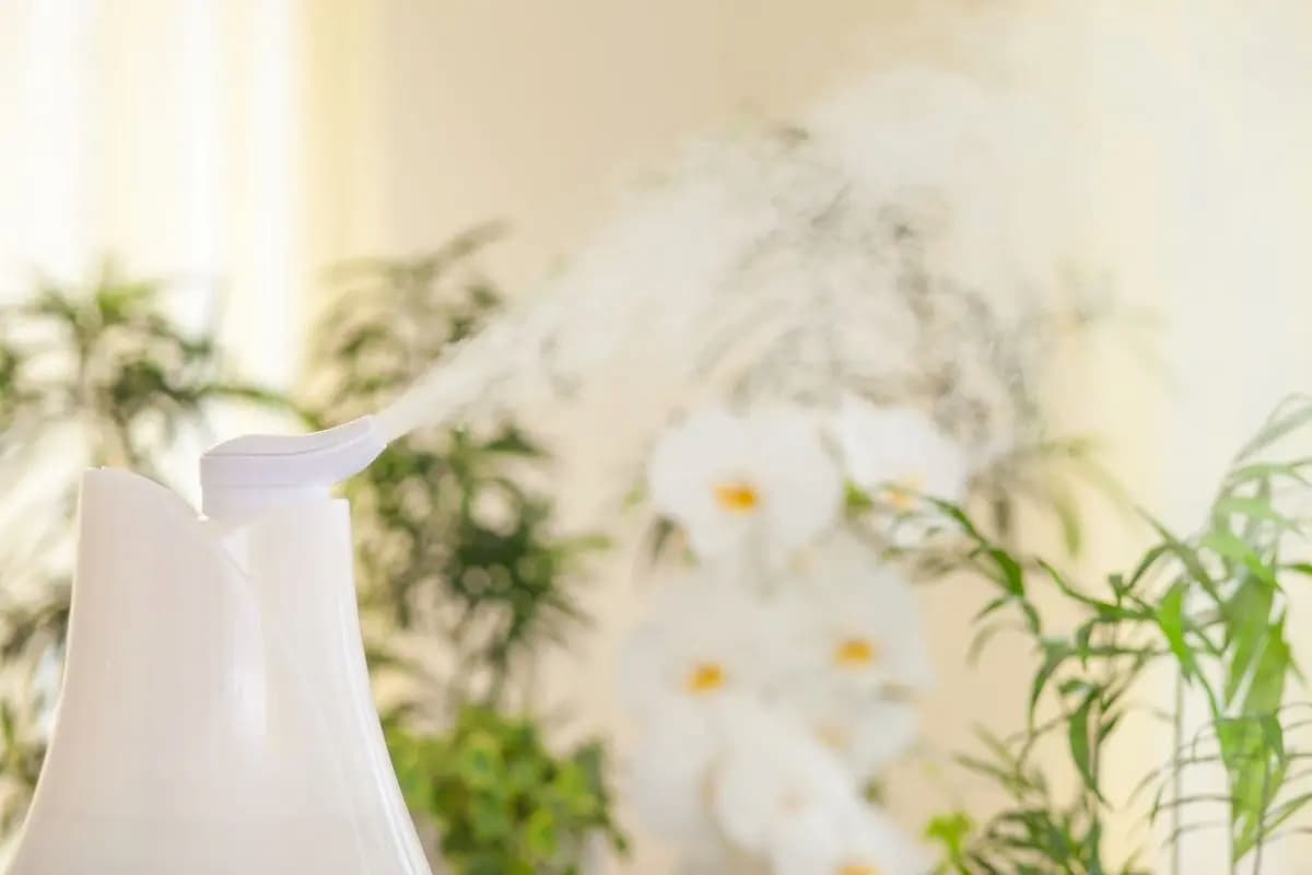 mejores humidificadores para plantas