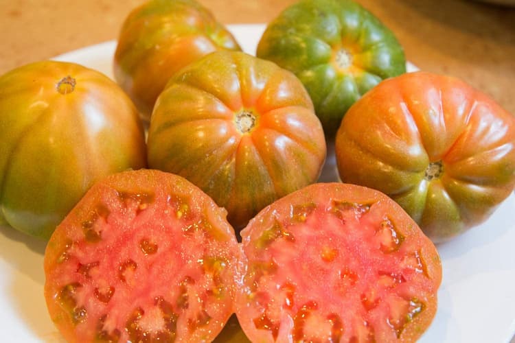 variedad de tomate valenciano