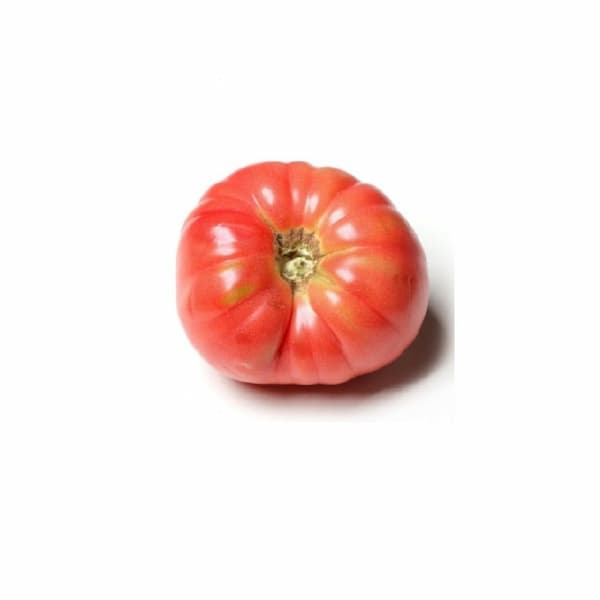 tomate udagorri